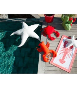 Buitenkussen Kreeftvorm -Huishoudelijke Producten Winkel 0eb2490bd482473a92c8794006de4d0a