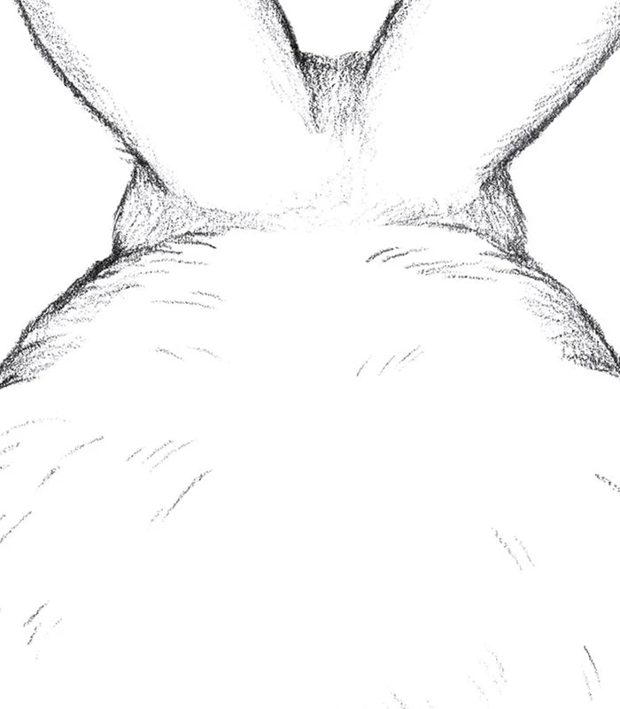 BUNNY - Kinderposter - Terug Konijn 2 BUNNY - Kinderposter - Terug Konijn - Afbeelding 2