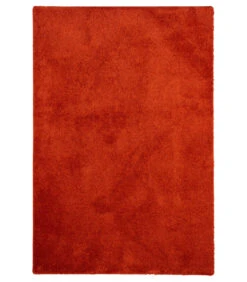 Vloerkleed Shaggy Paleis