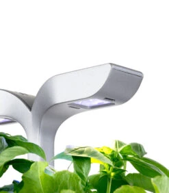 Indoor Moestuin Exky® SMART Soft Black -Huishoudelijke Producten Winkel 1a3d54a5176a4f0b80e2a9c8f4cec1ad