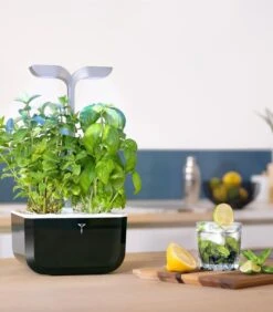 Indoor Moestuin Exky® SMART Soft Black -Huishoudelijke Producten Winkel 2adc2da62a2a48e6936040e43fffda28