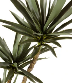 WOOOD Yucca Kunstplant - Plastic - Groen - 155x70x70 -Huishoudelijke Producten Winkel 2b834d553ded4ddd9d663ae1d335bf63