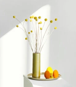 NOELLA Vaas Medium Mat Goud -Huishoudelijke Producten Winkel 3a5ead677e7c43e9812360de45091dd0