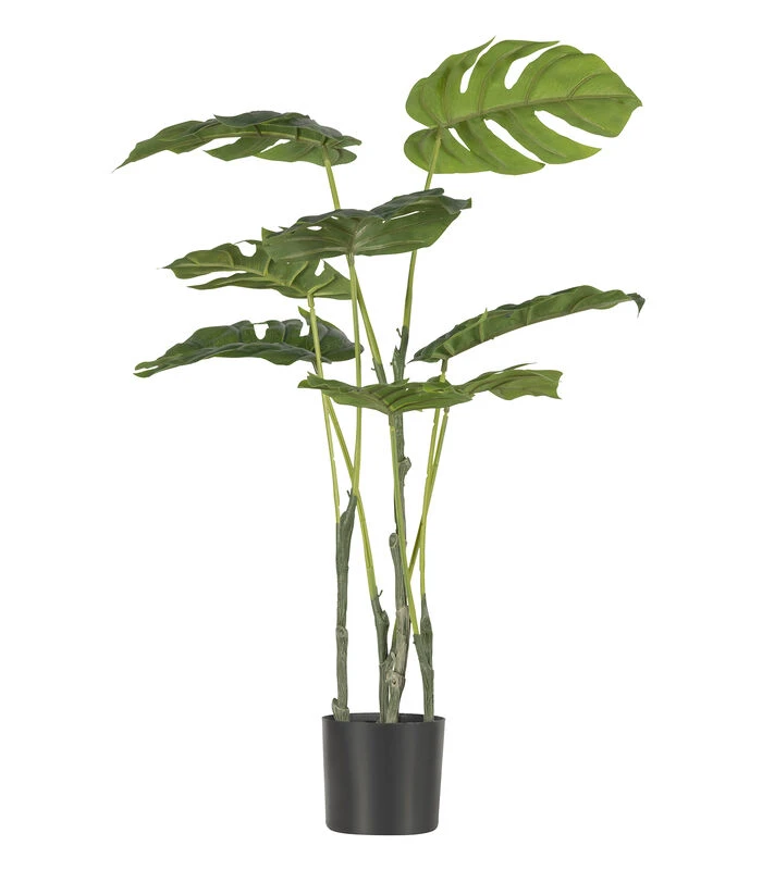 WOOOD Monstera Kunstplant - Plastic - Groen - 76x66x57 1 WOOOD Monstera Kunstplant - Plastic - Groen - 76x66x57