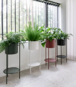 ENT Plantenstaander Medium Rood 8 ENT Plantenstaander Medium Rood -Huishoudelijke Producten Winkel 5c82b5a8e4324b368980c7023403fcb1