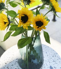 DIM Vaas Stripe Medium Groen -Huishoudelijke Producten Winkel 6041e309471d4be8ba217d90ac413fee 1