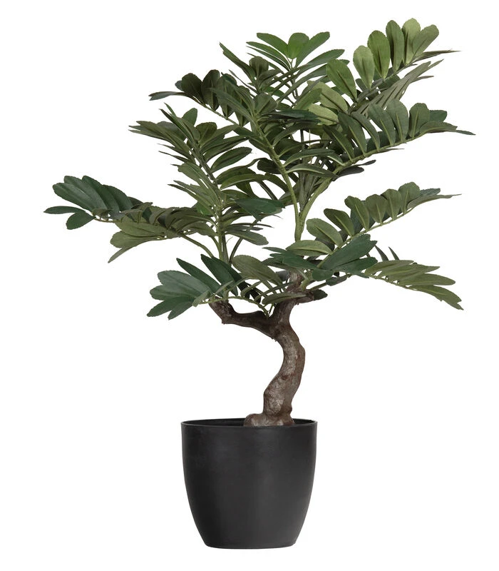WOOOD Zamia Kunstplant - Groen - 76x68x61 1 WOOOD Zamia Kunstplant - Groen - 76x68x61
