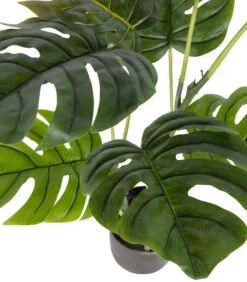 WOOOD Monstera Kunstplant - Plastic - Groen - 76x66x57 5 WOOOD Monstera Kunstplant - Plastic - Groen - 76x66x57 -Huishoudelijke Producten Winkel 8dfb8a91384f42cabd76d33b6cb94887
