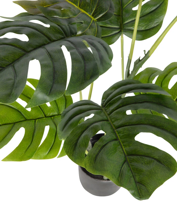 WOOOD Monstera Kunstplant - Plastic - Groen - 76x66x57 3 WOOOD Monstera Kunstplant - Plastic - Groen - 76x66x57 - Afbeelding 3