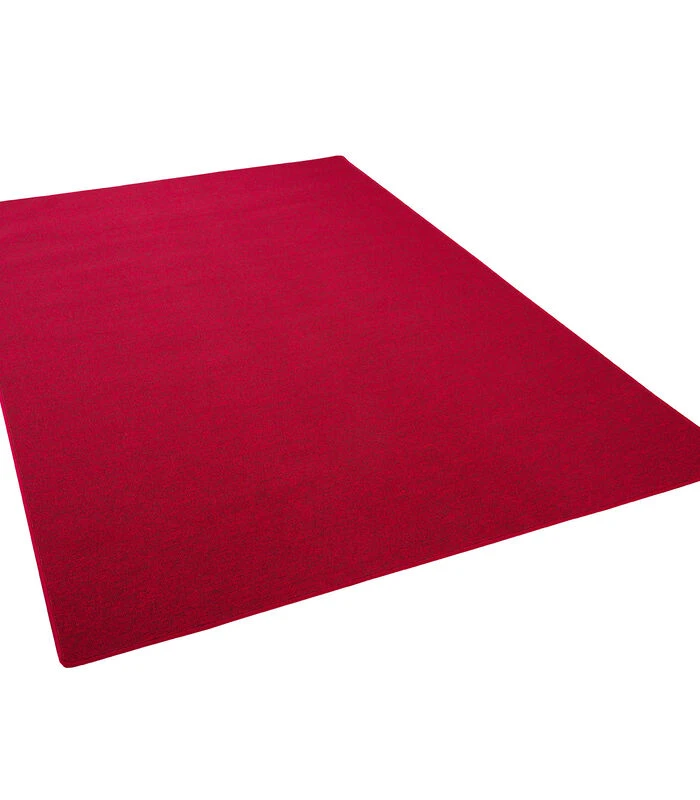 Vloerkleed Fijn Lus Velours Tapijt Sterk 5 Vloerkleed Fijn Lus Velours Tapijt Sterk - Afbeelding 5