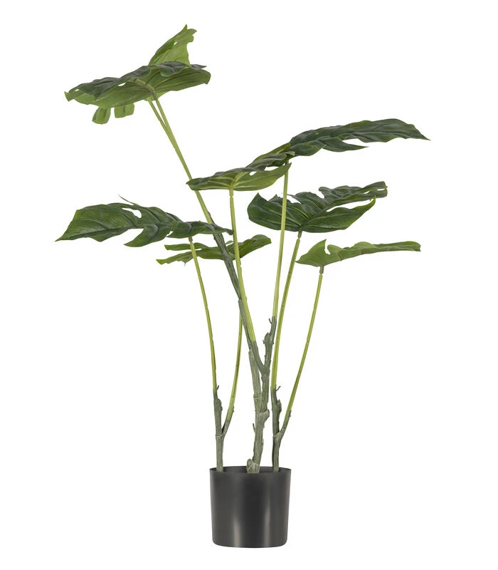 WOOOD Monstera Kunstplant - Plastic - Groen - 76x66x57 2 WOOOD Monstera Kunstplant - Plastic - Groen - 76x66x57 - Afbeelding 2