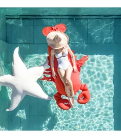 Drijvende XL-buitenpoef Zeestervorm -Huishoudelijke Producten Winkel c1ca8f4efa4f489396aaf6e8f5ab94c1 1