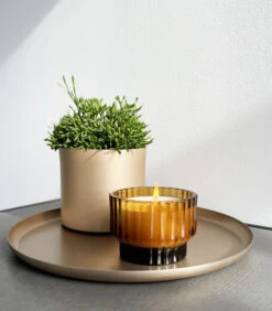 VOLTA Medium Geurkaars - FOREST MIST -Huishoudelijke Producten Winkel eb60920ab3a2442e94b86f67b9e9cd50