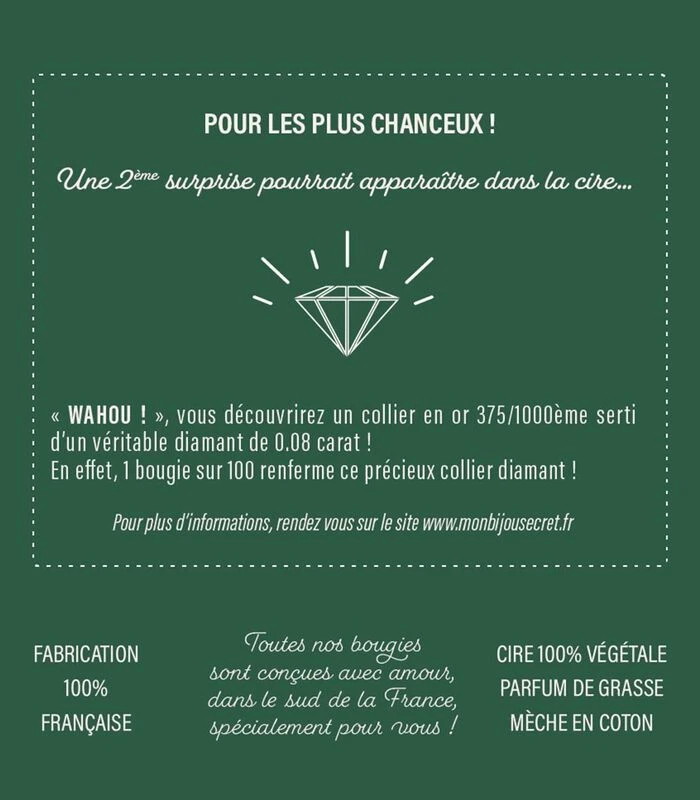 Geurkaars Kokosnoot Met Zilveren Oorbellen 4 Geurkaars Kokosnoot Met Zilveren Oorbellen - Afbeelding 4